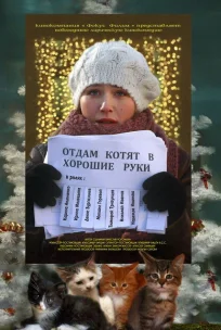  Отдам котят в хорошие руки 