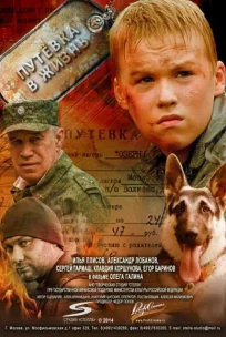  Путевка в жизнь 